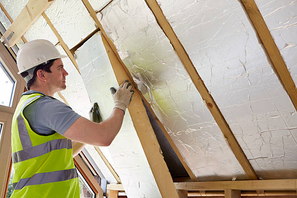 Best Insulation Maintenance and Repair in South Waverly, PA