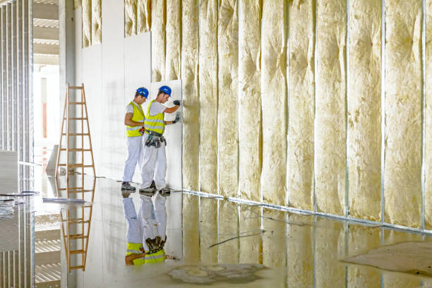 Best Blown-in Insulation in South Waverly, PA